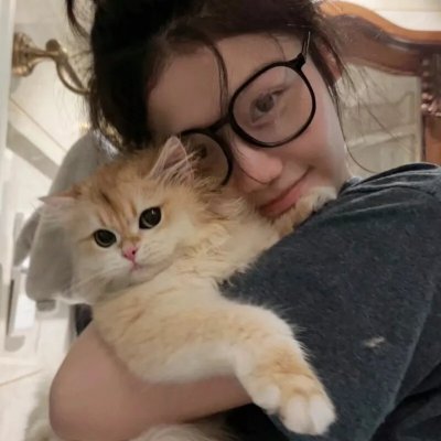 好莱坞骑士
