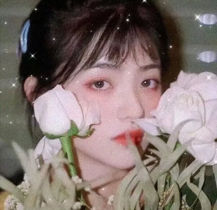 双世异闻录